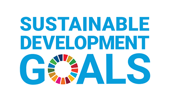 SUSTAINABLE DEVELOPMENT GOALS